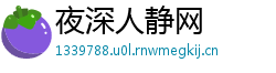 夜深人静网